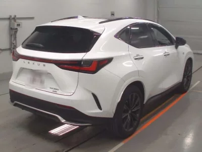 Lexus NX  с аукциона в Японии