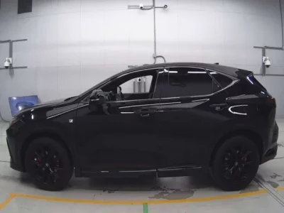 Lexus NX  с аукциона в Японии