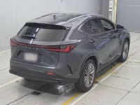 Lexus NX лот № 33034 оценка 4.5  с аукциона в Японии 1
