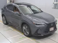 Lexus NX лот № 33034 оценка 4.5  с аукциона в Японии 4