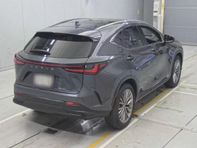 Lexus NX  с аукциона в Японии