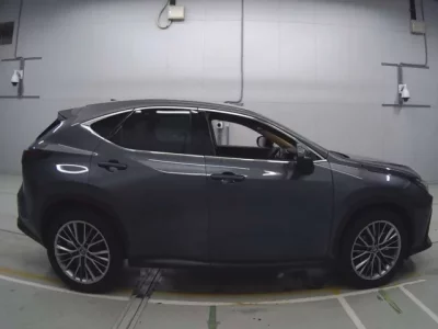 Lexus NX  с аукциона в Японии