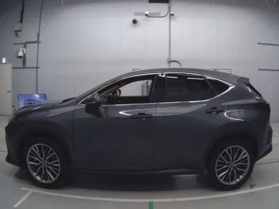 Lexus NX  с аукциона в Японии
