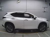 Lexus NX лот № 33042 оценка 4.5  с аукциона в Японии 2