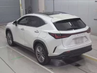 Lexus NX лот № 33042 оценка 4.5  с аукциона в Японии 5