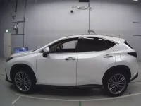 Lexus NX лот № 33042 оценка 4.5  с аукциона в Японии 3