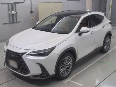 Lexus NX  с аукциона в Японии