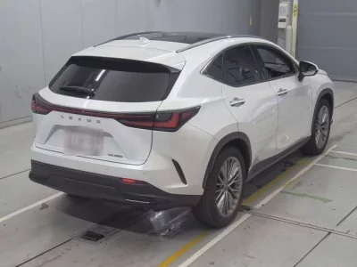 Lexus NX  с аукциона в Японии