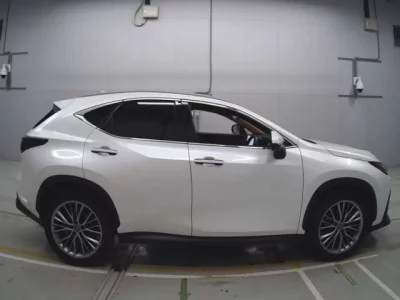 Lexus NX  с аукциона в Японии