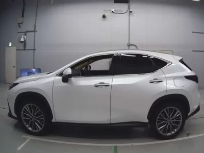 Lexus NX  с аукциона в Японии