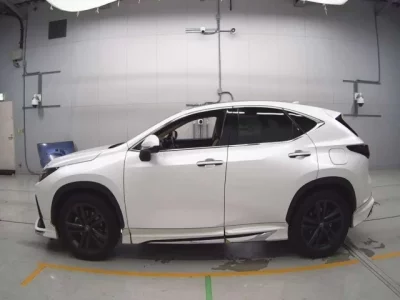 Lexus NX  с аукциона в Японии