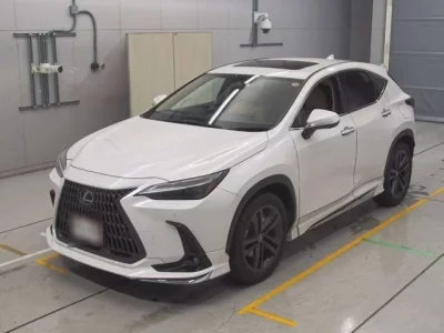 Lexus NX  с аукциона в Японии