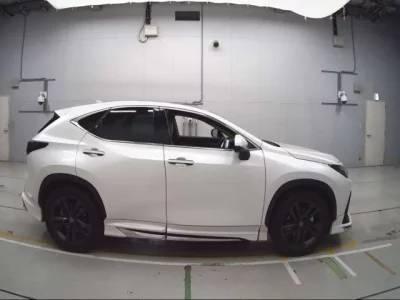 Lexus NX  с аукциона в Японии