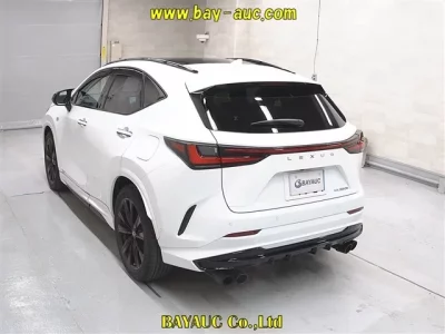 Lexus NX  с аукциона в Японии