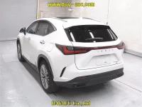 Lexus NX лот № 60274 оценка 4.5  с аукциона в Японии 1