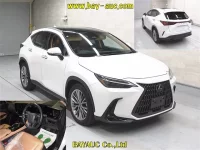 Lexus NX лот № 60274 оценка 4.5  с аукциона в Японии 3