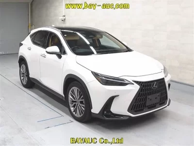 Lexus NX  с аукциона в Японии