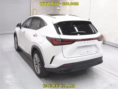 Lexus NX  с аукциона в Японии