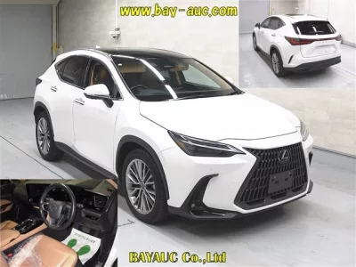 Lexus NX  с аукциона в Японии