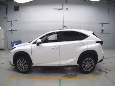 Lexus NX  с аукциона в Японии