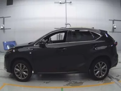 Lexus NX  с аукциона в Японии