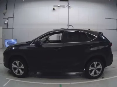Lexus NX  с аукциона в Японии