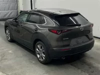 Mazda CX-30 лот № 80062 оценка X  с аукциона в Японии 1