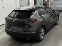 Mazda CX-30 лот № 80062 оценка X  с аукциона в Японии 4