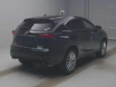 Lexus NX  с аукциона в Японии