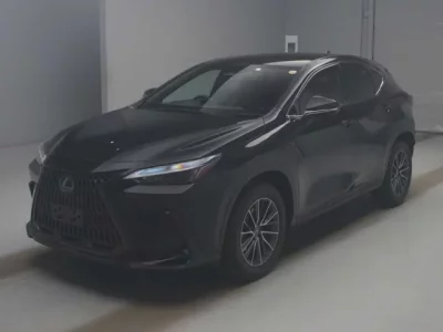 Lexus NX  с аукциона в Японии