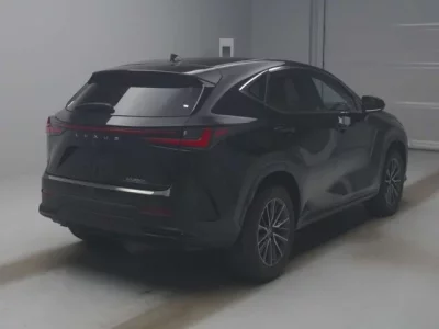 Lexus NX  с аукциона в Японии