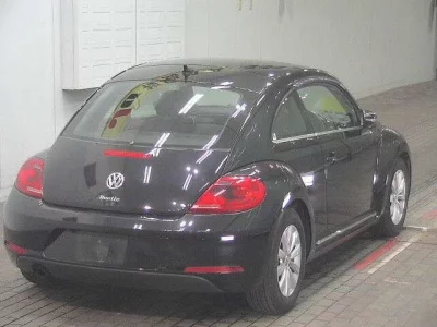 Volkswagen THE BEETLE