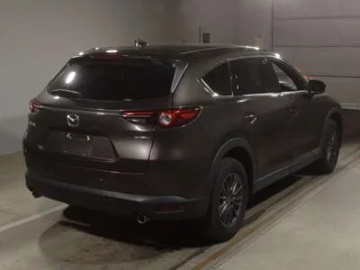 Mazda CX-8  с аукциона в Японии