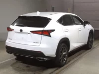 Lexus NX лот № 10007 оценка 4.5  с аукциона в Японии 1