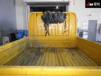 Nissan ATLAS лот № 20056 оценка 3.5  с аукциона в Японии 3