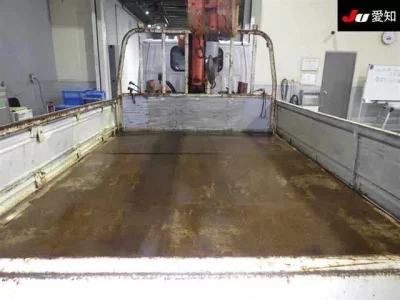 Isuzu ELF  с аукциона в Японии