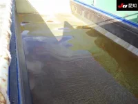 Nissan QUON лот № 8624 оценка 3.5  с аукциона в Японии 6