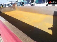 Nissan TRUCK лот № 8630 оценка 3.5  с аукциона в Японии 7