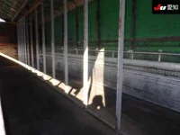 Mitsubishi SUPER GREAT лот № 8673 оценка 3.5  с аукциона в Японии 6