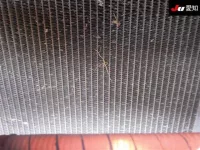 Hino PROFIA лот № 8702 оценка R  с аукциона в Японии 2