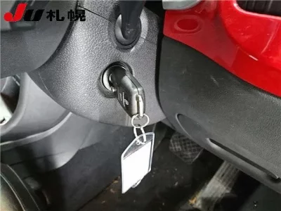 Volkswagen THE BEETLE