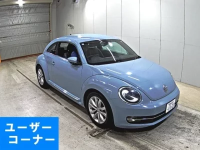 Volkswagen THE BEETLE