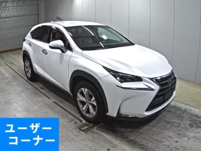 Lexus NX  с аукциона в Японии