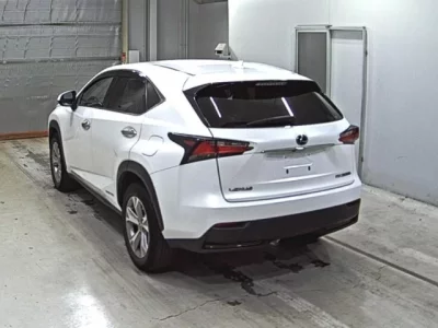 Lexus NX  с аукциона в Японии