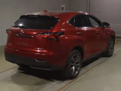 Lexus NX  с аукциона в Японии