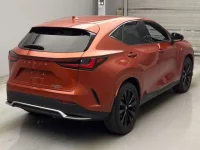 Lexus NX лот № 10036 оценка 4.5  с аукциона в Японии 1