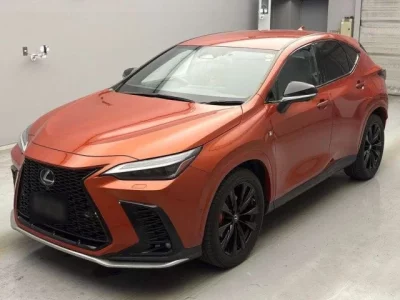 Lexus NX  с аукциона в Японии