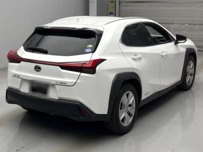Lexus UX  с аукциона в Японии