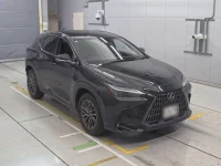 Lexus NX лот № 36006 оценка 4.5  с аукциона в Японии 1