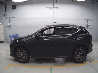 Lexus NX  с аукциона в Японии
